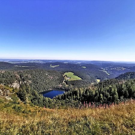 Residenz Grafenmatt "Abendsonne" Lägenhet Feldberg  Exteriör bild