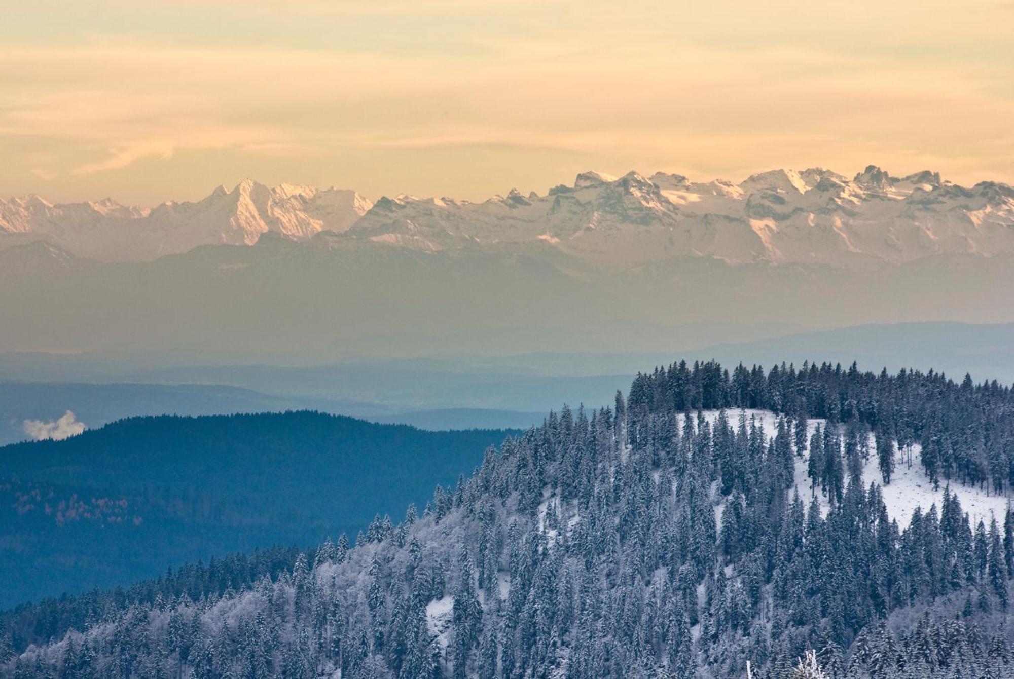 Residenz Grafenmatt "Abendsonne" Lägenhet Feldberg  Exteriör bild