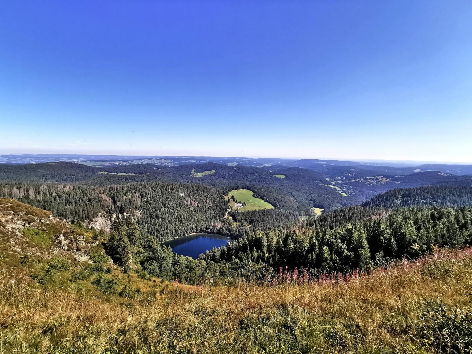 Residenz Grafenmatt "Abendsonne" Lägenhet Feldberg  Exteriör bild