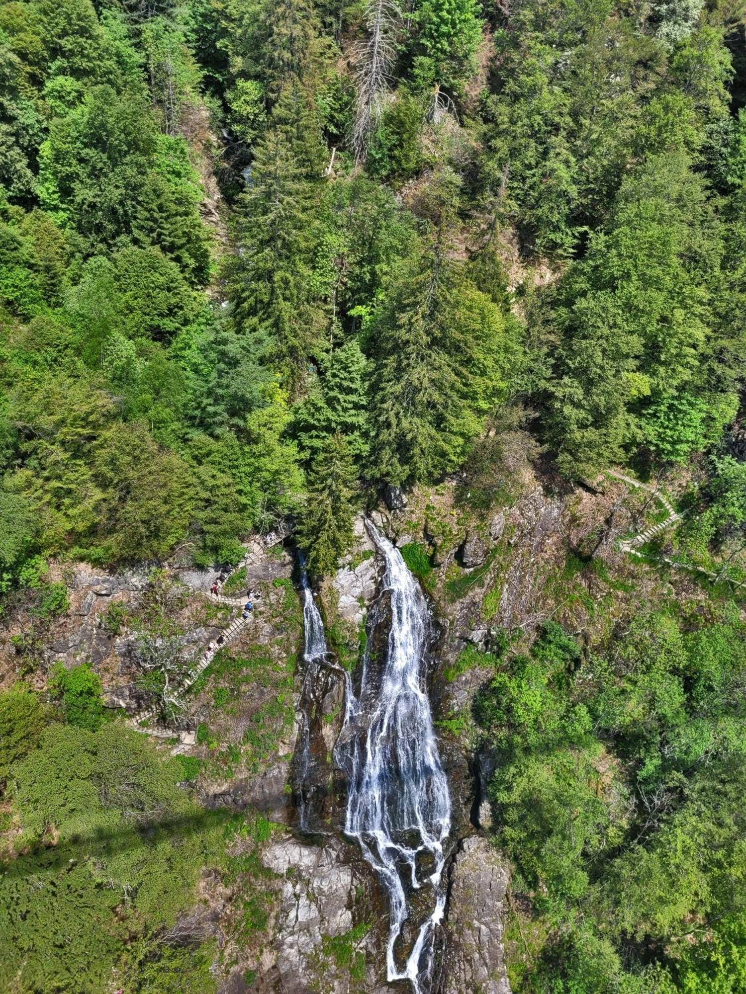 Residenz Grafenmatt "Abendsonne" Lägenhet Feldberg  Exteriör bild